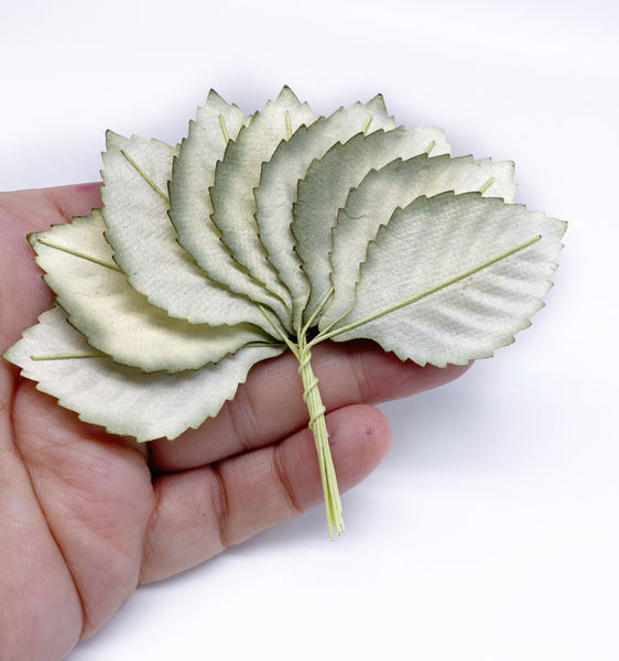 Mulberry Paper Large White with Green Edge Rose Leaves